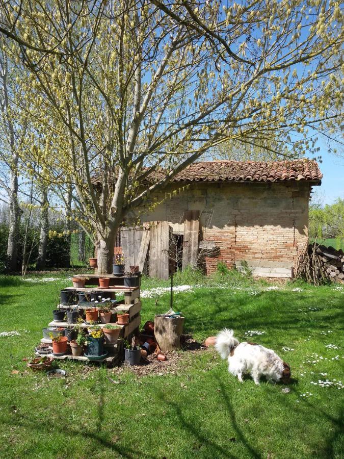 Bed and Breakfast Il Boschetto Di Morgana Кастель Сан Петро Терме Экстерьер фото